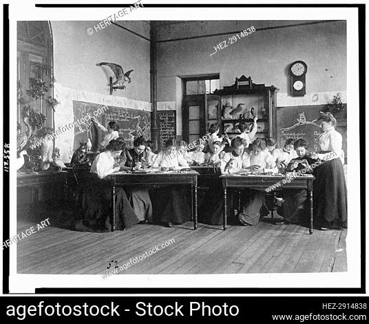 Young women in Washington, D.C. Normal School classroom studying birds, (1899?). Creator: Frances Benjamin Johnston