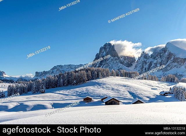 Kastelruth, Bolzano Province, Dolomites, South Tyrol, Italy. Winter on the Alpe di Siusi with a view of Langkofel and Plattkofel