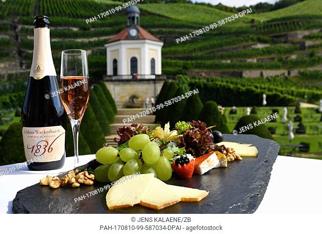 A bottle of sparking wine, a glass with sparkling wine and a cheese platter pictured on a table at the Schloss Wackerbarth vineyards in front of the Belvedere...