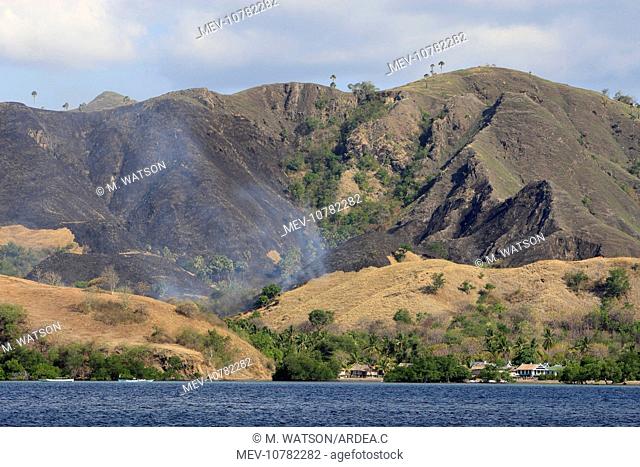 Fire - bush fire on Flores Island