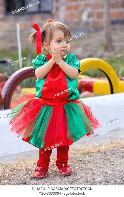 Infant Girl dresses Tulle Romper Christmas Outfit