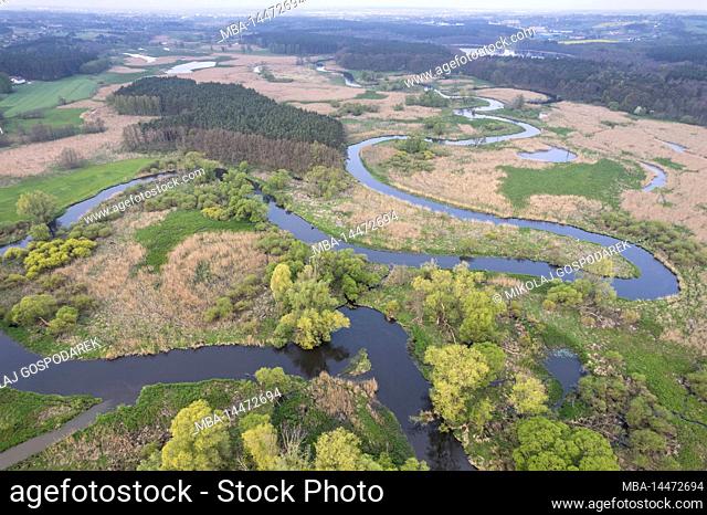 Europe, Poland, Kuyavian-Pomeranian Voivodeship, Bagienna Dolina Drwecy / Swampy Drweca Valley