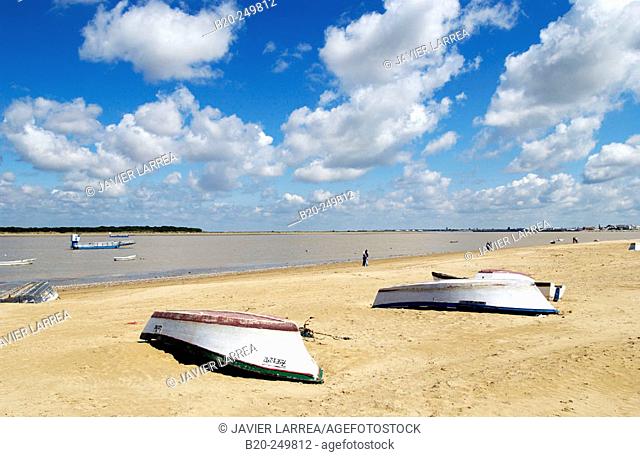 Bajo de Guía beach, near the River Guadalquivir mouth. Sanlúcar de Barrameda. Cádiz province. Andalusia. Spain