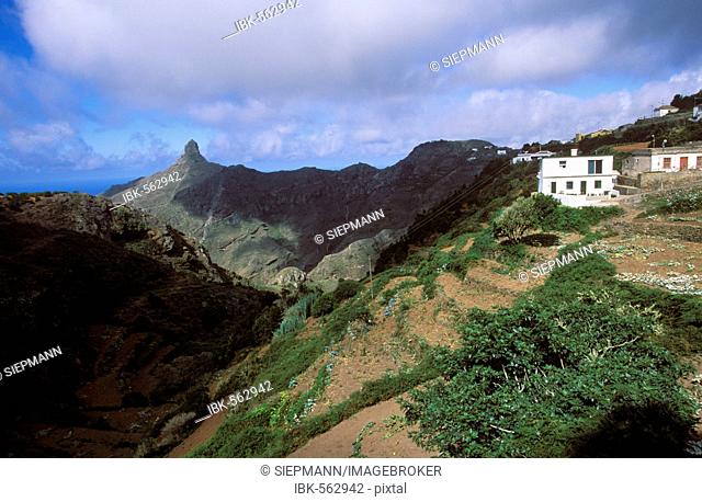 Anaga- mountains, Las Carboneras, Roque del Taborno, Tenerife, Canary Islands, Spain