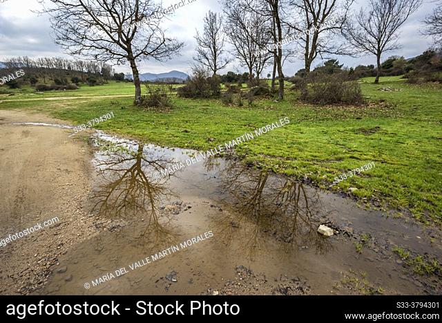 Reflections in the puddle, grass, oaks and Lancharrasa hills from Sierra de Gredos. Navahondilla. Madrid. Spain. Europe