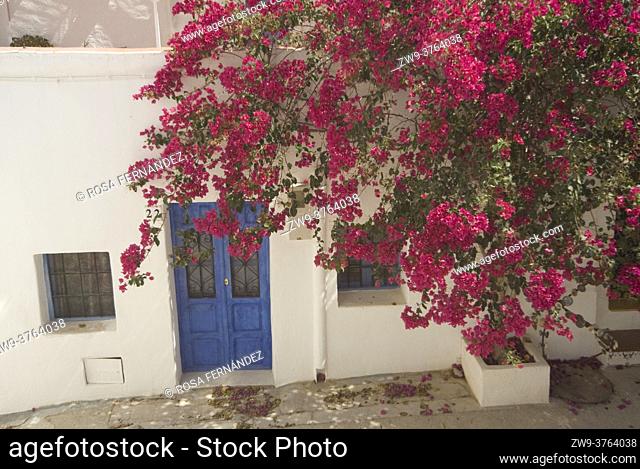 Traditional house with purple buganvilla and street, Nijar, Cabo de Gata Natural Park, Almeria, Andalucia, Spain