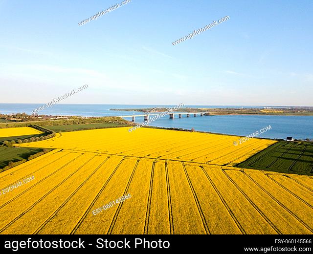 Fehmarn, Germany - May 11, 2019: Aerial drone view of Fehmarn Bridge and yellow rapeseed fields