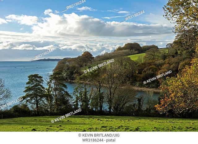 View Of Carrick Roads And River Fal Near Truro In Cornwall, England, Britain, Uk