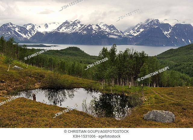 Nordmannvikdalen valley with the fjord and Lyngen Alps background, region of Lyngen, County of Troms, Norway, Northern Europe