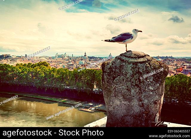 Vintage panorama of Rome, Italy. As seen from Castel Sant#39;Angelo. Bird resting on stone statue