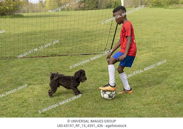 Hampshire, England, UK. April 2019. A young football player defending the goal during a traning session with his pet dog in a public park