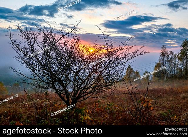 Cloudy and foggy autumn mountain sunrise scene. Peaceful picturesque traveling, seasonal, nature and countryside beauty concept scene