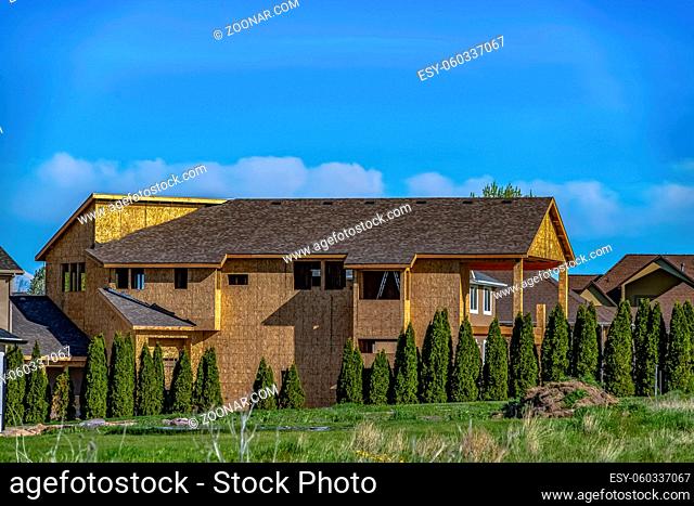 Exterior of house under construction with blue sky background on a sunny day. Row of vivid green trees with conical shape thrives outside the unfinished home