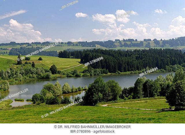 Northern shore of Rottachspeicher reservoir, Rottachsee Lake, Upper Allgäu, Swabia, Bavaria, Germany