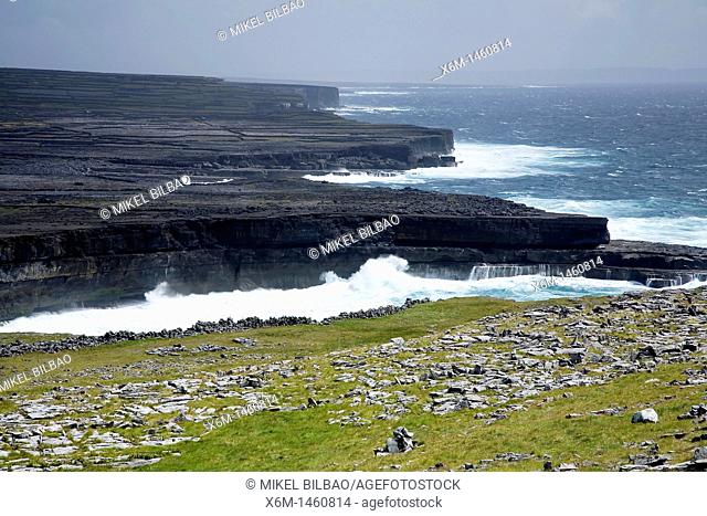 Coastal cliffs  Inishmore island, Aran island  County Galway, Ireland