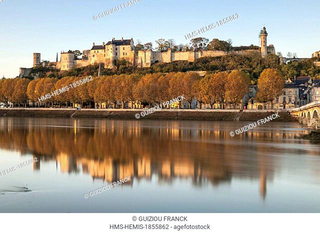 France, Indre et Loire, Loire Valley listed as World Heritage by UNESCO, Chinon on the edge of the Vienne river and its medieval castle
