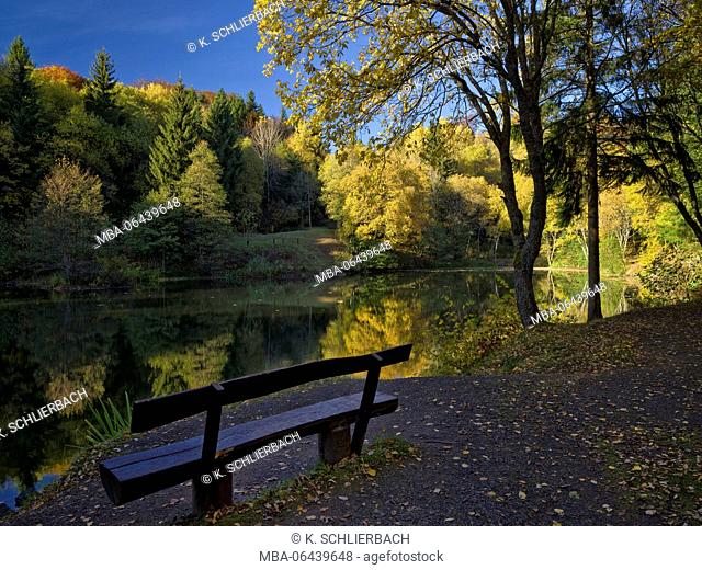 Germany, Bavaria, Rhön Biosphere Reserve, UNESCO biosphere reserve, leisure facility Basaltsee (lake), Birches and Aspens in the autumn foliage, resting bench