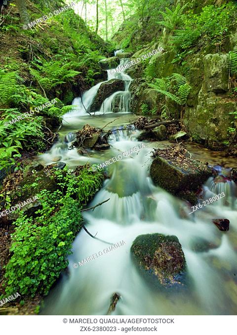 Marianegre stream waterfalls. Springtime at Montseny Natural Park. Barcelona province, Catalonia, Spain