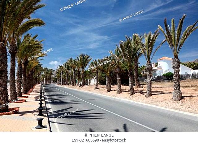 Road with palm trees in La Azohia, Region Murcia, Spain