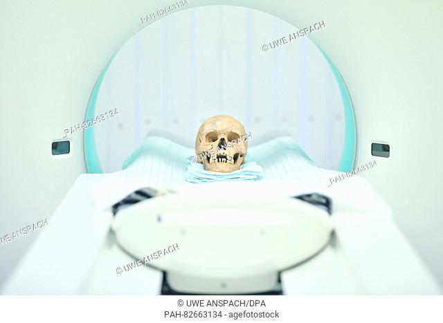 A human skull that was found on the former convent grounds in Lorsch being prepared for a scan using a computer tomograph at the University Clinic in Mannheim
