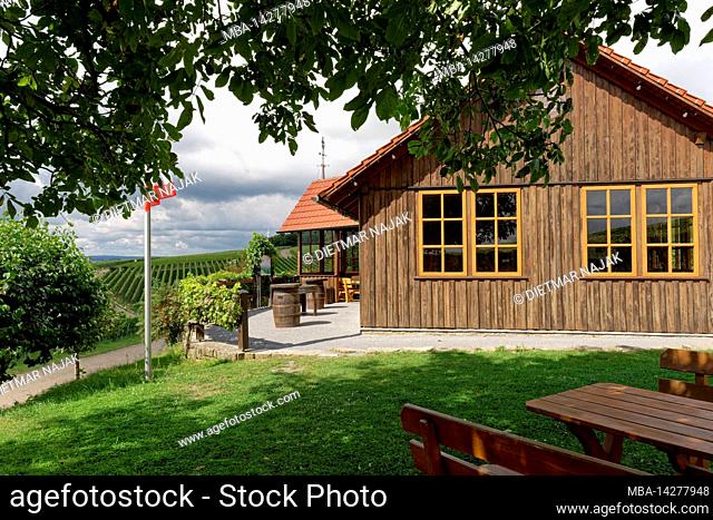 Landscape and vineyards near Wipfeld, district Schweinfurt, Lower Franconia, Franconia, Bavaria, Germany