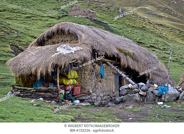 Typical, traditional dwelling house, built of mud and stones, thatched with grass, Cordillera Huayhuash mountain range, Andes, northern Peru, Peru