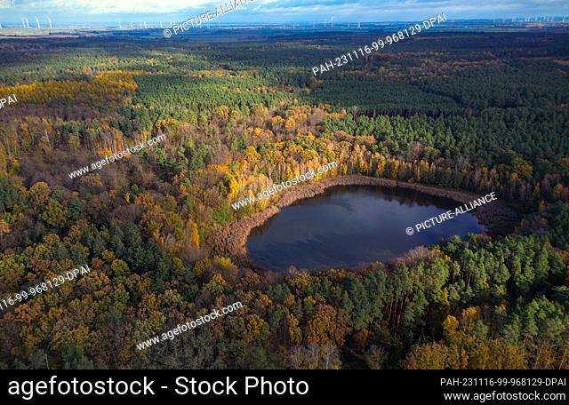 16 November 2023, Brandenburg, Petershagen: The sun shines over a forest with a small lake, which is partially surrounded by colorful autumnal deciduous trees...