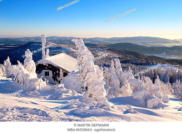 Zwiesel hut in winter, GroÃŸer Arber, Bavarian Forest Nature Park, Lower Bavaria, Bavaria, Germany