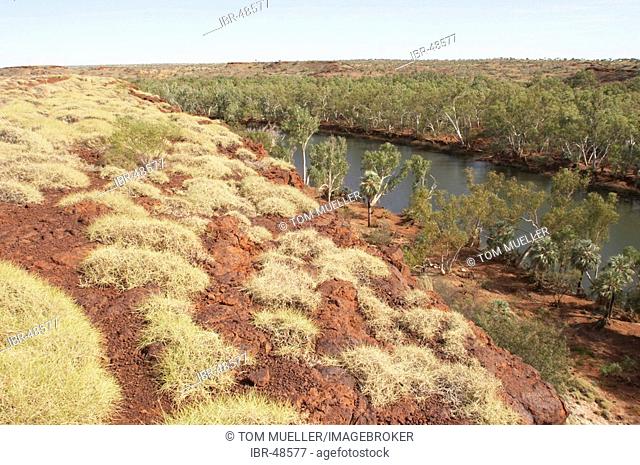 Landscape and Fortescue river Millstream Chichester National Park Pilbara region western australia WA