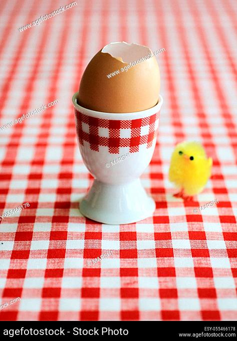 chicken egg, easter decoration, easter breakfast