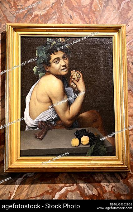 Sala del Sileno, painter by Caravaggio 'Autoritratto in veste di Bacco ' (Self-portrait in the guise of Bacchus) in the Galleria Borghese reopened to the public...