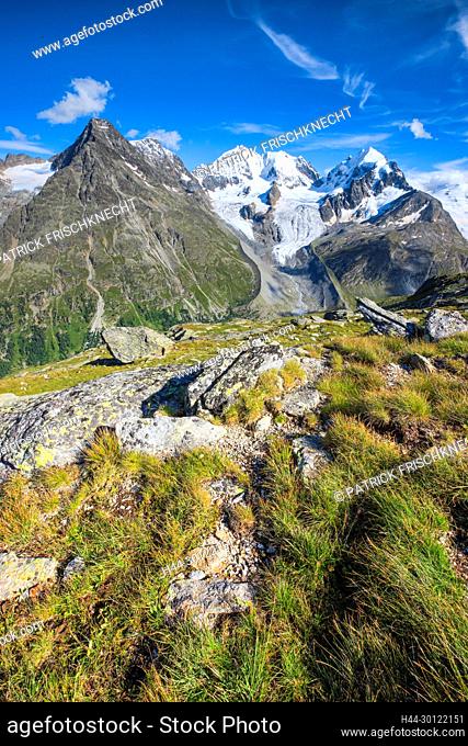 Piz Tschierva-3546 m, Piz Bernina-4049 m, Biancograt, Piz Roseg-3937 m, Graubünden, Schweiz