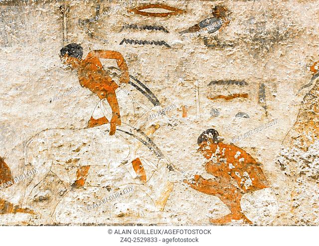 Middle Egypt, Beni Hasan, the tomb of Khnumhotep II dates from the Middle Kingdom. Feeding of gazelles. The movement of one of the men is noticeable