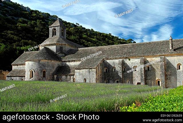 Cistercian Abbey of Senanque and blooming rows of lavender. Gordes, Vaucluse, Provence - France