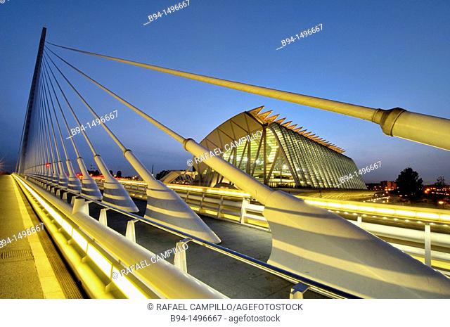 Príncipe Felipe Science Museum, from l'Assut de l'Or bridge. City of Arts and Sciences by Santiago Calatrava. Opened on 13 November 2000. Valencia