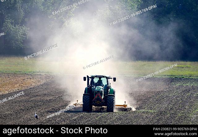21 August 2023, Baden-Württemberg, Ostrach: A farmer sows canola in a field, kicking up a cloud of dust. Temperatures above 30 degrees Celsius are forecast for...