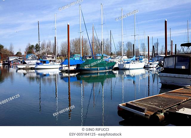 Sailboats moored in a marina, Portland OR