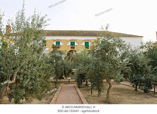 Olive oil museum 'Hacienda La Laguna', Baeza, Andalusia, Spain