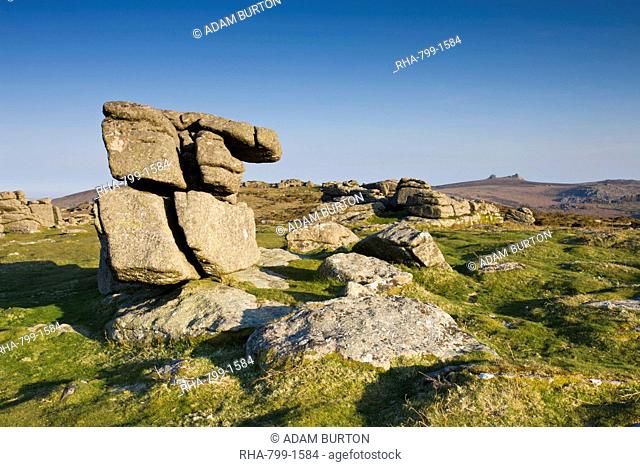 Granite outcrops on Hayne Down in Dartmoor National Park, Devon, England, United Kingdom, Europe