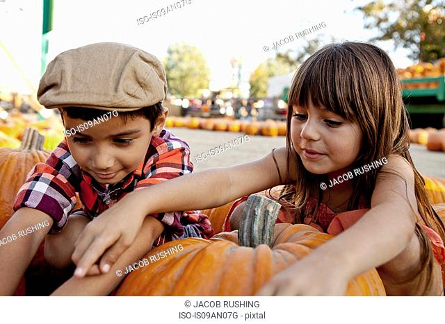 Boy and girl reaching for pumpkins in farmyard