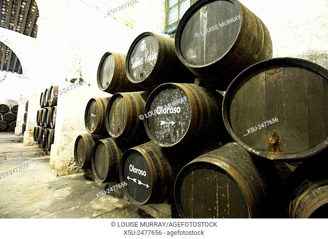 Sherry making in the Criadera e Solera method barrels three high in the bodega of Gutierrez Colosia