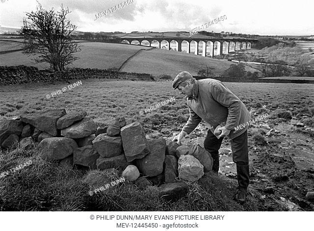 Retired farmer Tom Ackroyd mends a dry stone wall on his farm in the Hewenden Valley, near Bradford, West Yorkshire, England