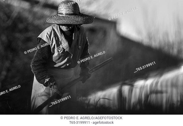 Elderly lady working the field in a village of galicia, in Palas de Rei, Lugo