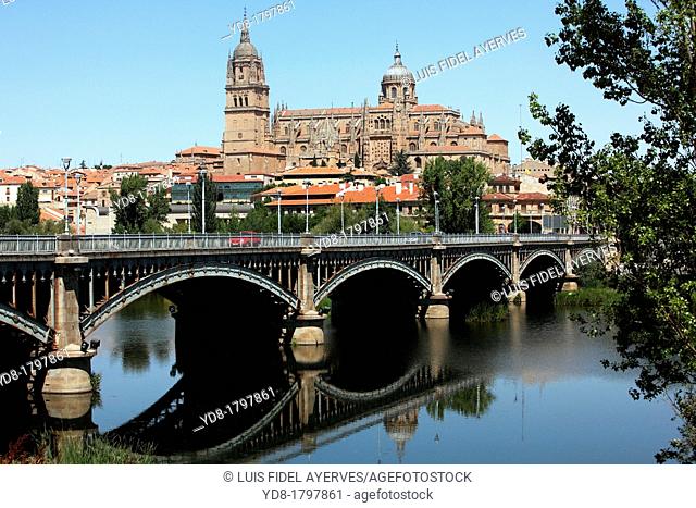 Panoramic view of Cathedral, the bridge and the river Tormes, Salamanca, Castilla y Leon, Spain, Europe