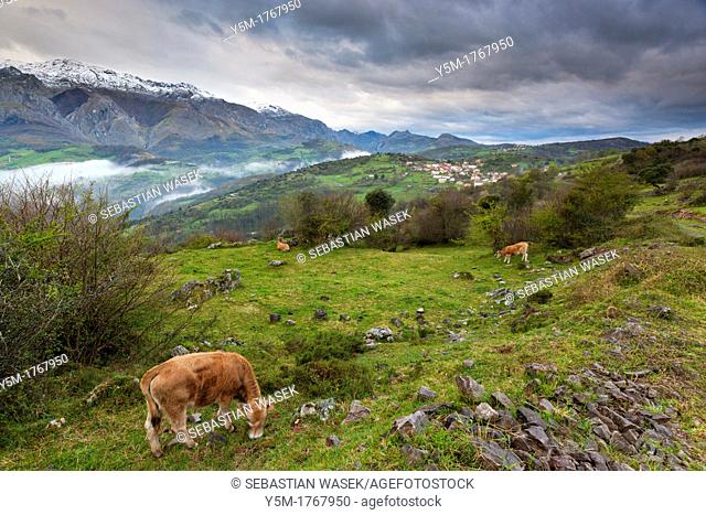 A view on the Picos de Europa National Park from the north, near Mirador Pedro Udaondo, Asturias
