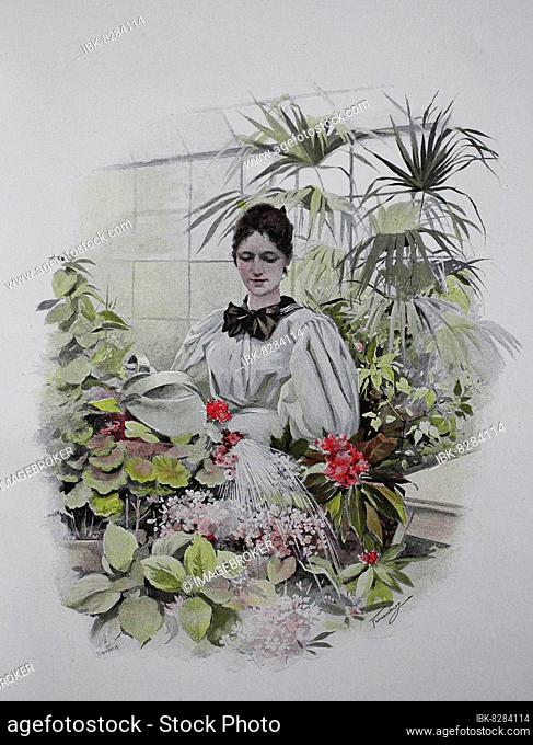 Frau beim gießen der Blumen in einem Gewächshaus, Historisch, digitale Reproduktion einer Originalvorlage aus dem 19. Jahrhundert