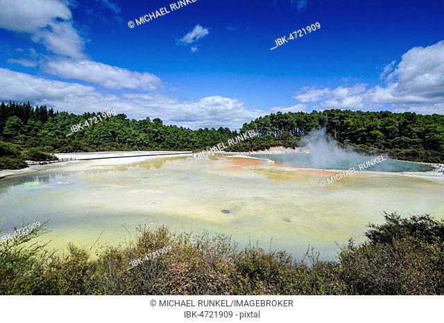 The colourful multi hued champagne pool, Wai-O-Tapu Volcanic Wonderland, North Island, New Zealand