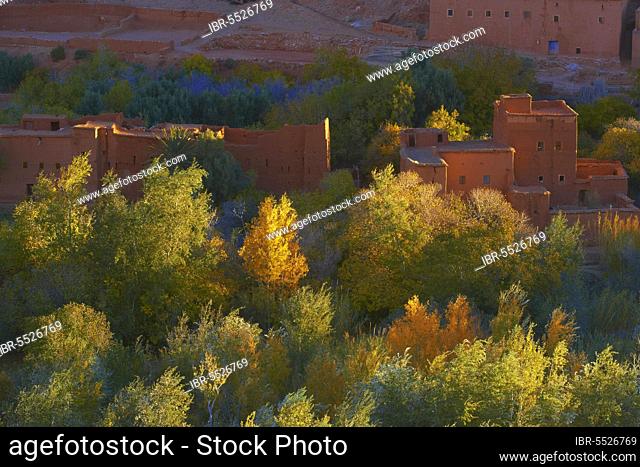 Dades Gorges, Dades Valley, Dades Gorges, Old Kasbah, High Atlas, Morocco, Africa