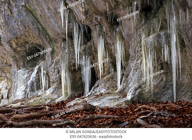 Ice formations in Mazarna cave in Velka Fatra national park in northern Slovakia.
