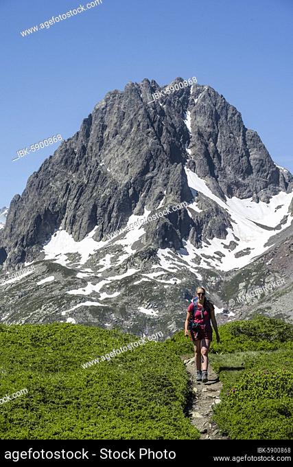 Hiker on trail to Aiguillette des Posettes, behind summit of Aiguille du Bélvèdere and Aoguille de la Floria, Chamonix, Haute-Savoie, France, Europe